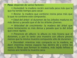 • Peso: depende de varios factores:
• Humedad- la madera recién aserrada pesa más que la
que ha tenido tiempo para secar.
• Resina- la madera que contiene resina pesa más que
la que no contiene este compuesto.
• Edad del árbol- el duramen de los árboles maduros es
más denso y pesado que el de los árboles jóvenes.
• Velocidad de crecimiento- la madera del árbol que
crece lentamente es más densa y pesada que la del árbol
que crece rápido.
• Presencia de albura- la albura es más liviana que el
duramen, y por lo tanto una muestra con albura pesará
menos que la misma muestra compuesta sólo de duramen.
• Densidad- mientras más compacta es la madera, es
decir mientras menos espacio hay dentro de y entre los
vasos o fibras que forman la madera, más tejido leñoso y
menos aire tendrá la muestra seca.
 