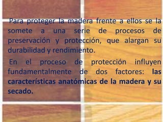 Para proteger la madera frente a ellos se la
somete a una serie de procesos de
preservación y protección, que alargan su
durabilidad y rendimiento.
En el proceso de protección influyen
fundamentalmente de dos factores: las
características anatómicas de la madera y su
secado.
 