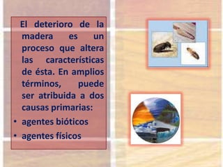 El deterioro de la
madera es un
proceso que altera
las características
de ésta. En amplios
términos, puede
ser atribuida a dos
causas primarias:
• agentes bióticos
• agentes físicos
 