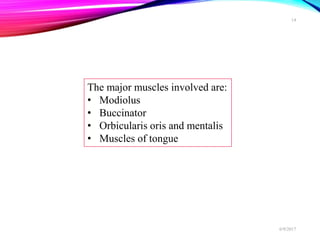 The major muscles involved are:
• Modiolus
• Buccinator
• Orbicularis oris and mentalis
• Muscles of tongue
6/9/2017
14
 