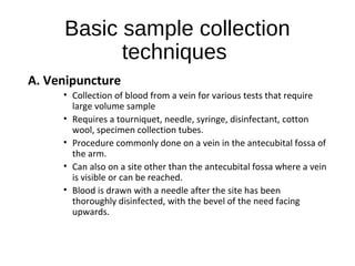 Basic sample collection
techniques
A. Venipuncture
• Collection of blood from a vein for various tests that require
large volume sample
• Requires a tourniquet, needle, syringe, disinfectant, cotton
wool, specimen collection tubes.
• Procedure commonly done on a vein in the antecubital fossa of
the arm.
• Can also on a site other than the antecubital fossa where a vein
is visible or can be reached.
• Blood is drawn with a needle after the site has been
thoroughly disinfected, with the bevel of the need facing
upwards.
 