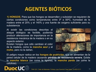 TAM-1201. Taller de Materiales. Profesor Juan Francisco Vega Salas. CLASE Nº 07. 36
AGENTES BIÓTICOS
1) HONGOS. Para que los hongos se desarrollen y subsistan se requieren de
ciertas condiciones como temperaturas entre 3º a 50ºC, humedad de la
madera entre el 20% y el 140% y una fuente de oxígeno suficiente para su
subsistencia
Al existir las condiciones descritas el
ataque biológico es factible, pudiendo
producir alteraciones de importancia en la
resistencia mecánica de la madera o en su
aspecto exterior.
Existen hongos que sólo cambian el color
de la madera, como la mancha azul y el
moho, pero no la dañan.
El peligro mayor radica en los hongos de pudrición, que se alimentan de la
pared celular de la madera causando pérdida de resistencia severa. Existe
la mancha blanca (se come la lignina), la mancha parda (se come la
celulosa).
 