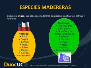 TAM-1201. Taller de Materiales. Profesor Juan Francisco Vega Salas. CLASE Nº 07. 5
ESPECIES MADERERAS
Nativas:
• Raulí.
• Coigüe.
• Lenga.
• Tepa.
• Roble.
• Mañío.
• Alerce.
• Araucaria.
Foráneas:
• Pino Insigne.
• Eucalipto.
• Pino Oregón.
• Roble Americano.
• Fresno.
• Cerezo.
• Haya.
• Mara.
• Cedro.
• Roble boliviano.
Según su origen, las especies madereras se pueden clasificar en nativas y
foráneas:
 