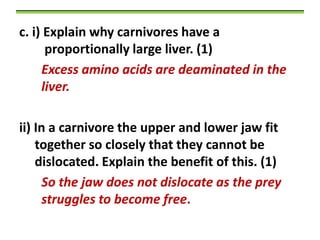 c. i) Explain why carnivores have a
proportionally large liver. (1)
Excess amino acids are deaminated in the
liver.
ii) In a carnivore the upper and lower jaw fit
together so closely that they cannot be
dislocated. Explain the benefit of this. (1)
So the jaw does not dislocate as the prey
struggles to become free.

 