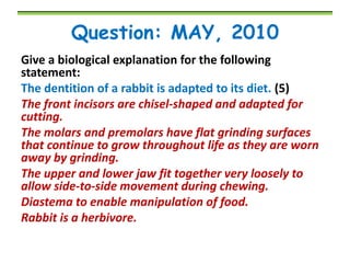 Question: MAY, 2010
Give a biological explanation for the following
statement:
The dentition of a rabbit is adapted to its diet. (5)
The front incisors are chisel-shaped and adapted for
cutting.
The molars and premolars have flat grinding surfaces
that continue to grow throughout life as they are worn
away by grinding.
The upper and lower jaw fit together very loosely to
allow side-to-side movement during chewing.
Diastema to enable manipulation of food.
Rabbit is a herbivore.

 