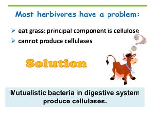 Most herbivores have a problem:
 eat grass: principal component is cellulose
 cannot produce cellulases

Mutualistic bacteria in digestive system
produce cellulases.

 