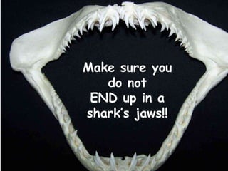 THE
END
Make sure you
do not
END up in a
shark’s jaws!!

 