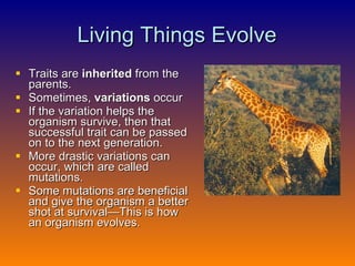 Living Things Evolve Traits are  inherited  from the parents.  Sometimes,  variations  occur If the variation helps the organism survive, then that successful trait can be passed on to the next generation. More drastic variations can occur, which are called mutations. Some mutations are beneficial and give the organism a better shot at survival—This is how an organism evolves.   