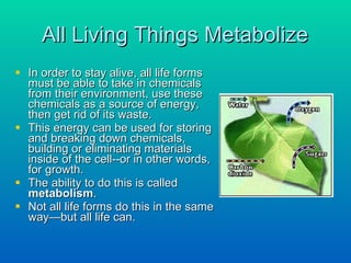 All Living Things Metabolize In order to stay alive, all life forms must be able to take in chemicals from their environment, use these chemicals as a source of energy, then get rid of its waste.  This energy can be used for storing and breaking down chemicals, building or eliminating materials inside of the cell--or in other words, for growth.  The ability to do this is called  metabolism .  Not all life forms do this in the same way—but all life can. 