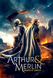 Arthur & Merlin: Knights of Camelot 2020