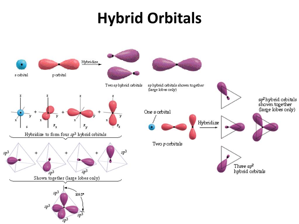 PPT - Molecular Geometry and Bonding Theories PowerPoint Presentation ...