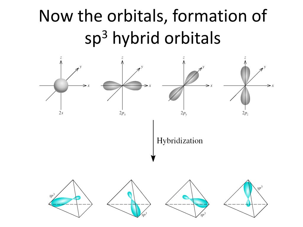 PPT - Covalent Bonding: Orbitals PowerPoint Presentation, free download ...