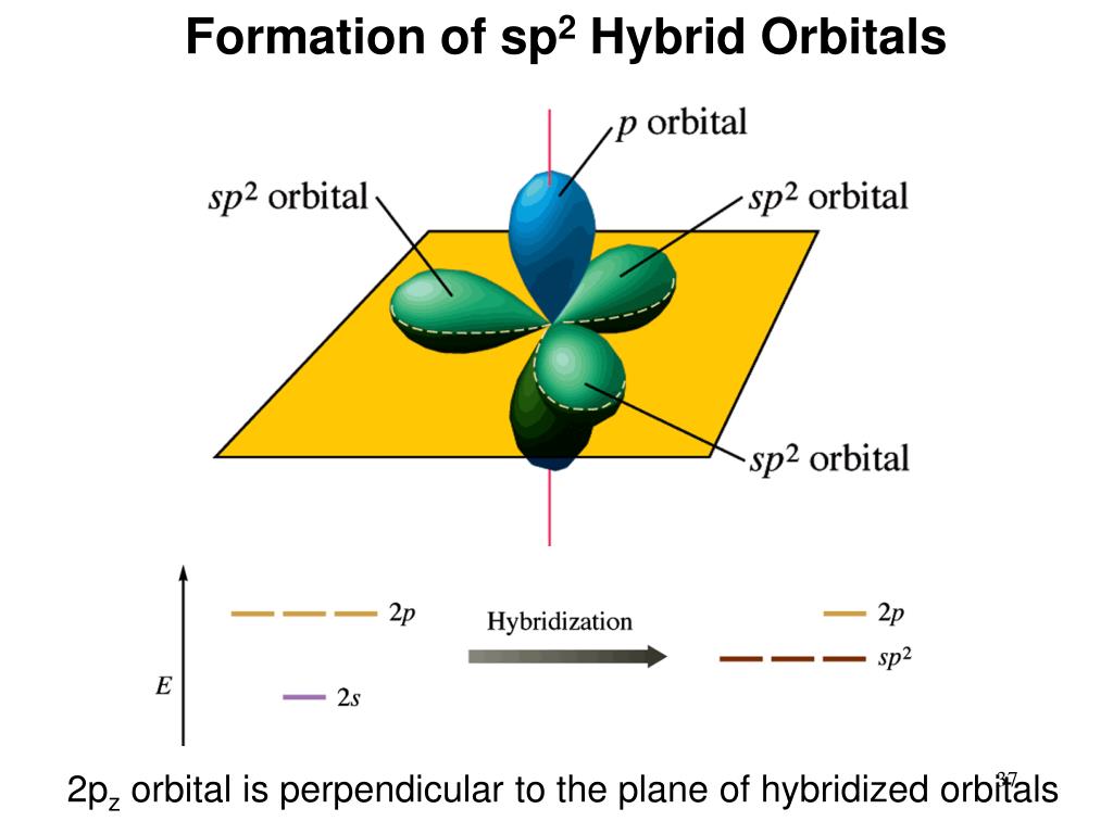 PPT - Covalent Bonding: Molecular Geometry Hybridization of Atomic ...