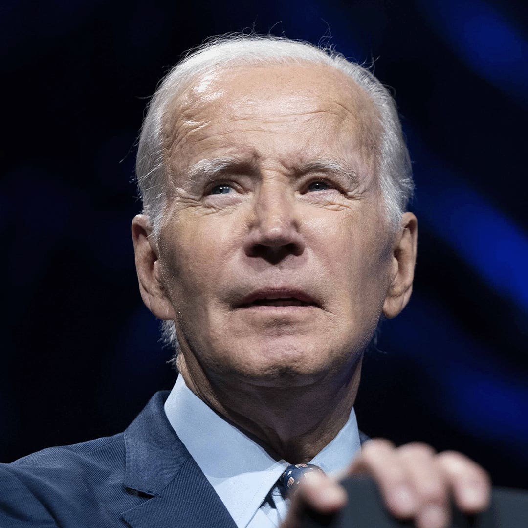 1x1_Joe Biden by Bonnie Cash_UPI_Bloomberg