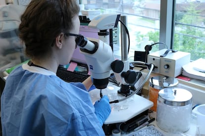 Una becaria realiza prácticas en un laboratorio.