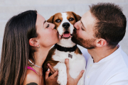 ¿Más feliz con uno o con dos? Descubren si los perros prefieren vivir con solteros o parejas