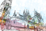 catedral-burgos-ilustracion