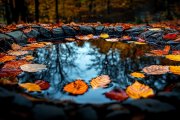 ¿Cuál es el lago más pequeño del mundo?