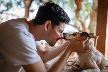 Perro lamiendo a un hombre