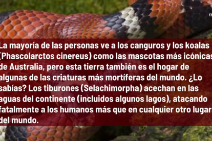 Animales Aterradores Que Son Inofensivos