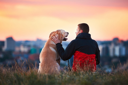 ¿Pueden las mascotas sustituir las relaciones humanas?