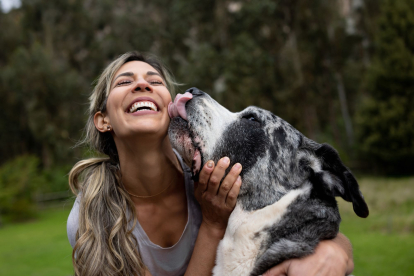 La sorprendente conexión entre la microbiota intestinal, el cerebro y la memoria en perros y humanos