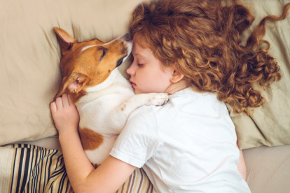 Para dormir, el perro querrá el sitio más cómodo y si tiene olor de la familia, mucho mejor.