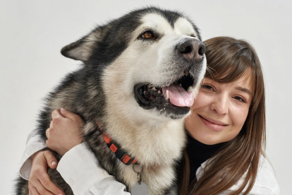 Aún podemos observar rasgos físicos primitivos en algunas de las razas actuales. El husky, por
ejemplo, es uno de los perros más independientes y una de las razas más difíciles de educar.