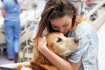 La terapia asistida con perros se está implantando cada vez más en diferentes campos de
la terapia, la educación y la intervención social.