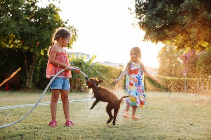 Niñas juegan a mojarse con su mascota