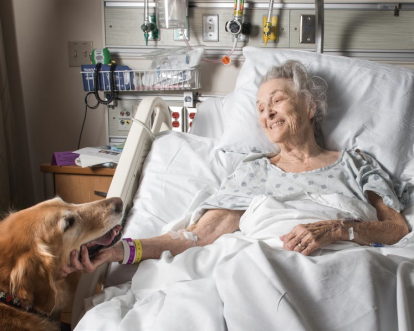 Siempre se ha dicho que el perro es el mejor amigo del hombre, a la vista está que
también ayuda a cuidar de nuestra salud.