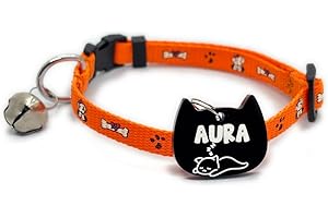 PAWPRO Handmade Cat Collar with Customisable Name & Icon Tag, Bell, Adjustable Buckle, 15-30 cm (Orange)