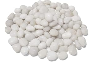 Bum Bum Bhole 1Kg Natural Polished White Pebbles (White Polished) Smooth for Plants, Aquariums,Terrarium,Succulents,Garden Po