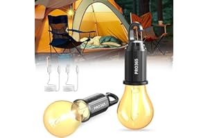 PRO365 Camping Bulb, 3 Light Modes, USB Charging Cable Provided, Ideal for Travel, Car Repair, Construction Sites (2 Bulbs, R