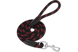 Amazon Basics Extra Thick Premium Nylon Rope Leash | 4 ft/ 122 cm | Black | Strong Hook for Training and Walking Dogs | Refle