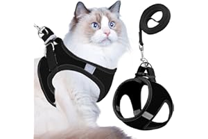 Buraq Pets Cat Harness with Leash for Outdoor, Walking, Escape Proof, Air Mesh Fabric, Easy Control, Adjustable & Durable Cat