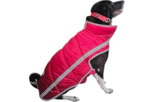 All For Fur Dog Winter Jacket/Coat | Extra Warm Padding for Cold Weather | Windproof | Adjustable Neck & Chest | Luxury Pet A