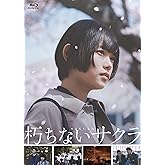 【Amazon.co.jp限定】朽ちないサクラ(ポストカード2枚セット付) [Blu-ray]