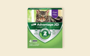 Cat flea & tick