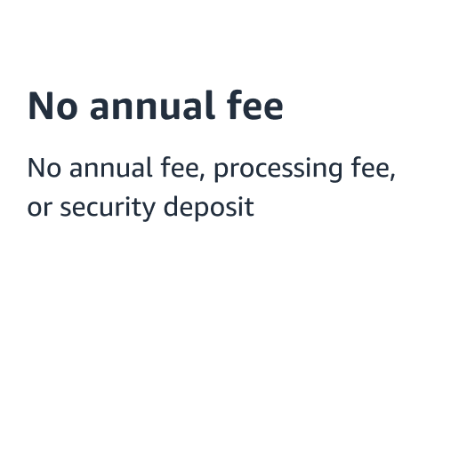 No annual fee