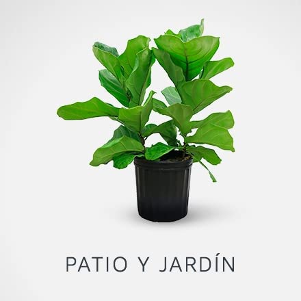 Patio y Jardín