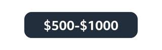 $500-$1000