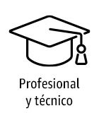 Profesional y técnico