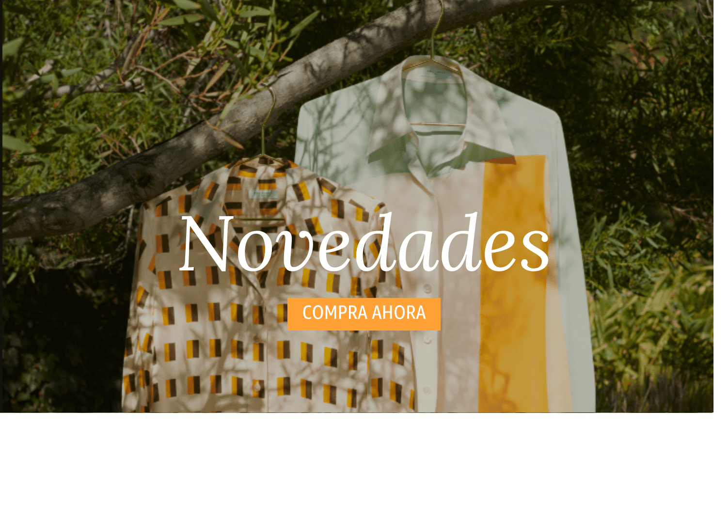 Novedades