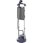 Passadeira a vapor vertical vaporizador de roupa profissional versatil steamer higienizador vestido camisas Electrolux EGS20 