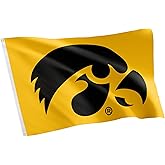 Desert Cactus University of Iowa Hawkeyes Banners 100% Polyester Indoor Outdoor 3x5 feet Flags (Style 2)