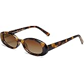 VANLINKER Polarized Retro Oval Sunglasses for Women and Men Small 90s Style VL9580