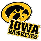 Desert Cactus University of Iowa Stickers Hawkeyes Vinyl Decal Laptop Water Bottle Car Scrapbook (4 Inch Set V1)