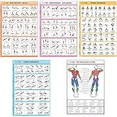 SPORTAXIS 5 Pack Laminated Workout Posters for Home Without Equipment Color Illustrations Bodyweight Basic Building Exercises