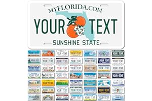 Custom Florida License Plate, Personalized 50 States Fake License Plate for Front of Car Ideal Sign 6x12 Inches, Rust Free .0